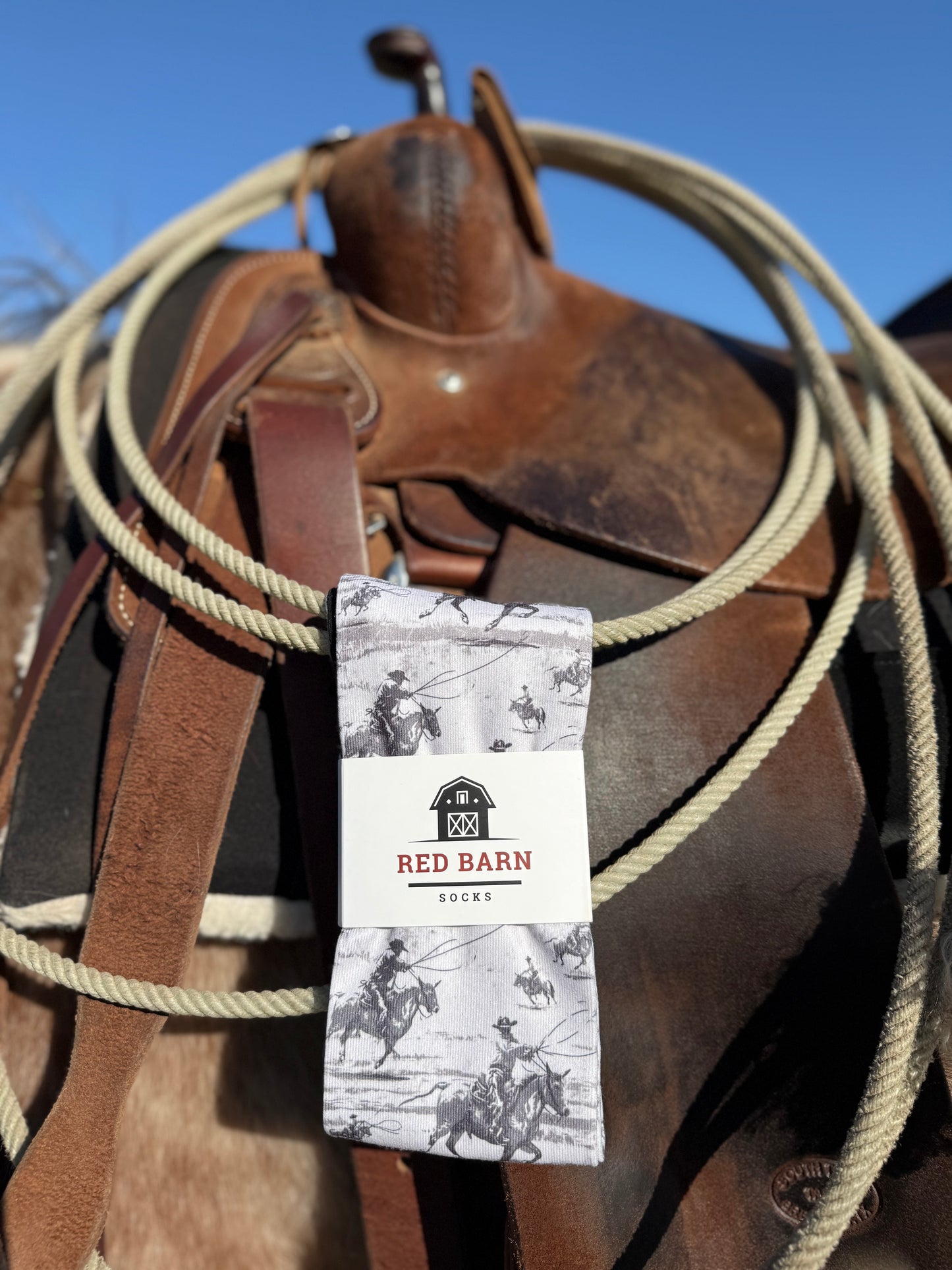 Rustler's Run - New!