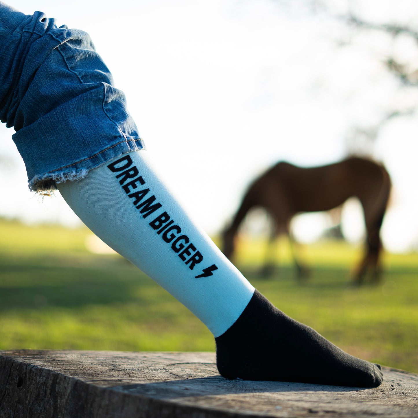 Dream Bigger - Red Barn Socks x Blue Thunder - A Unicorn Story