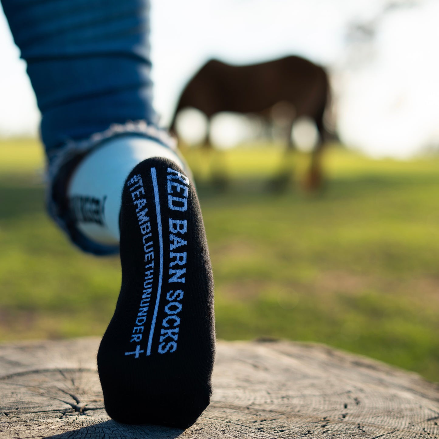 Dream Bigger - Red Barn Socks x Blue Thunder - A Unicorn Story