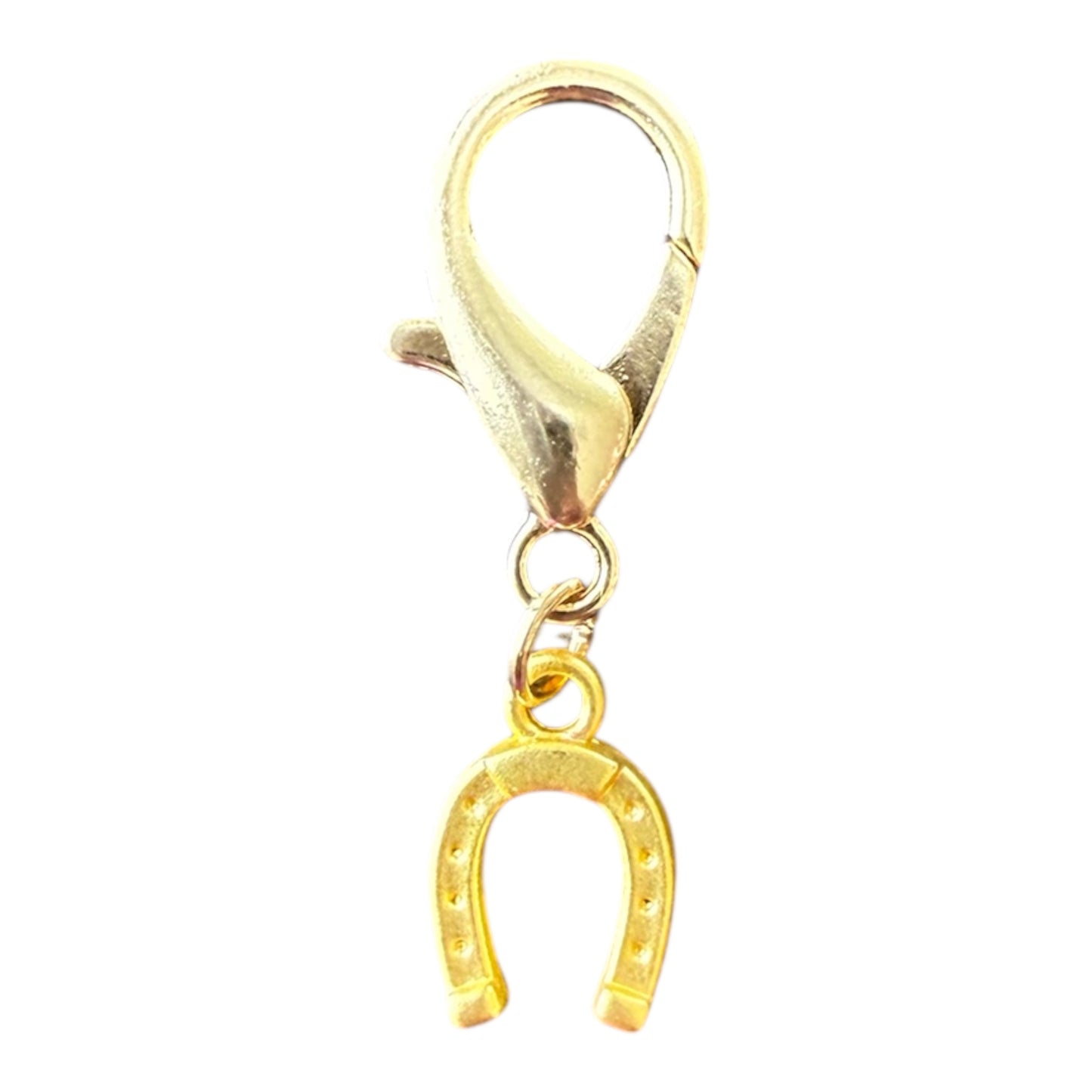 Golden Luck Charm
